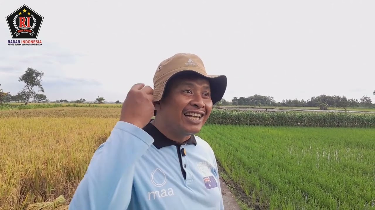 Panen Raya Dari Sawah Tumbuh Keberkahan Desa Bandung Sekaran Berlangsung Sukses