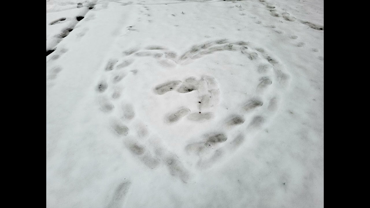 Quite simply love