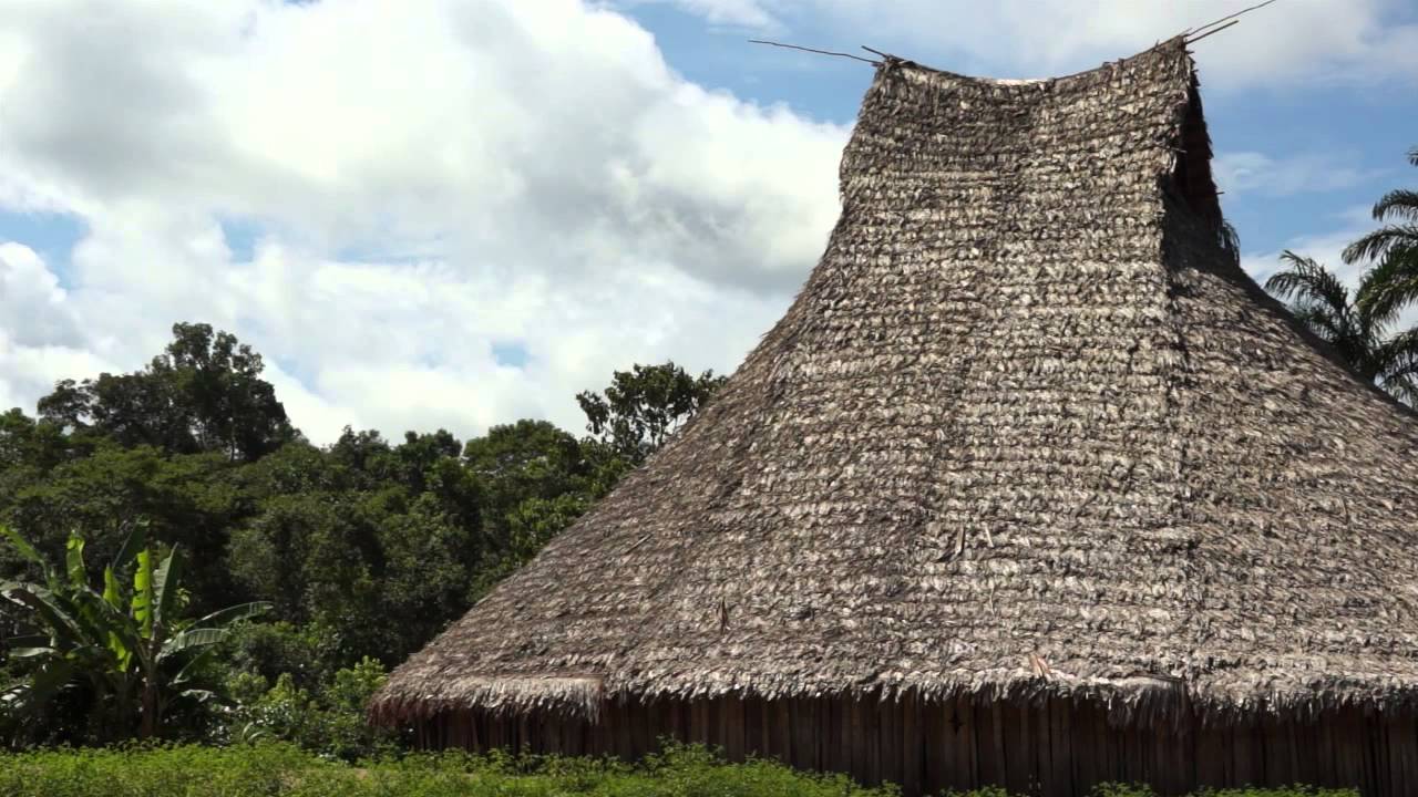 Parque Nacional Natural Yaigojé Apaporis