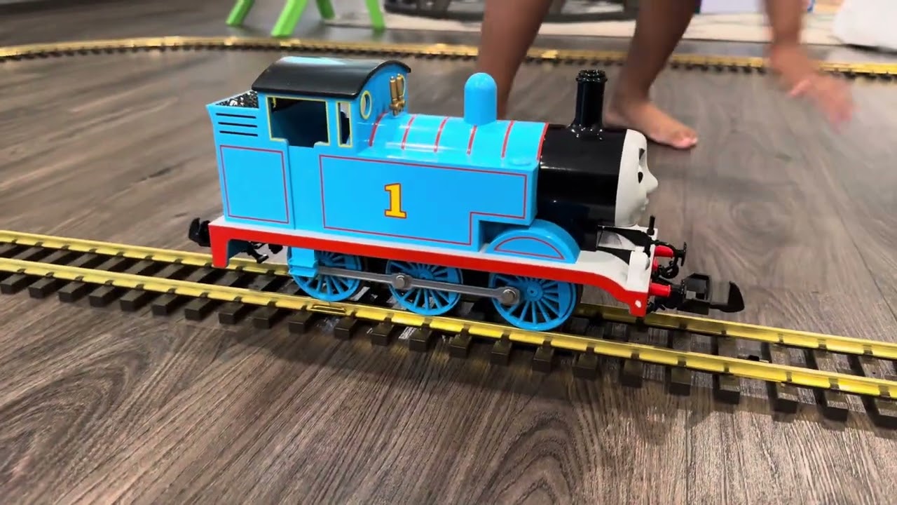 Thomas the tank engine, G scale or Large scale model engine.