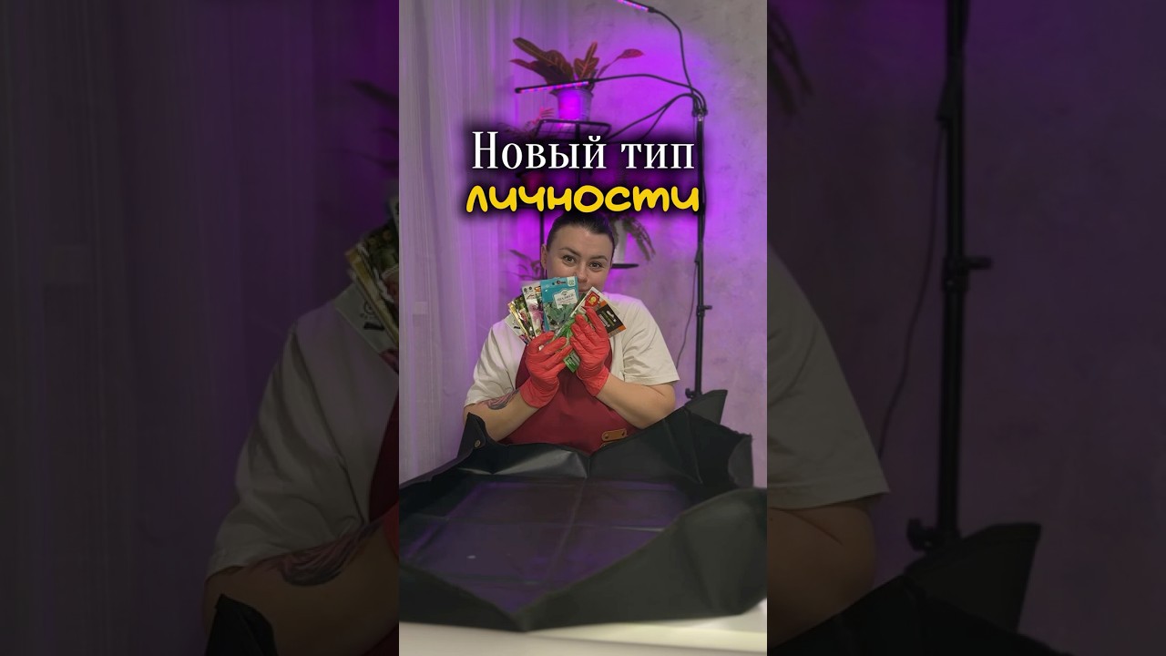 Артикул на лампу ВБ #533423016