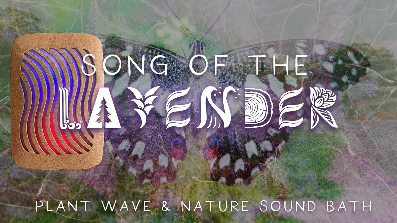 Song of the Lavender - PlantWave & Nature Sound Bath for Deep Relaxation and Healing