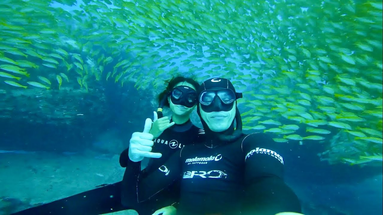 Freediving with Federico Mana in a huge school of yellow snapper fish! - Seychelles