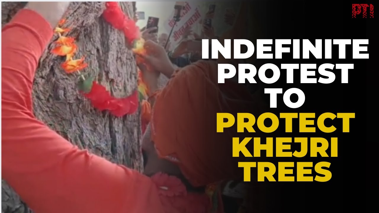 Rajasthan activists stage hunger strike demanding strict law to protect sacred Khejri trees