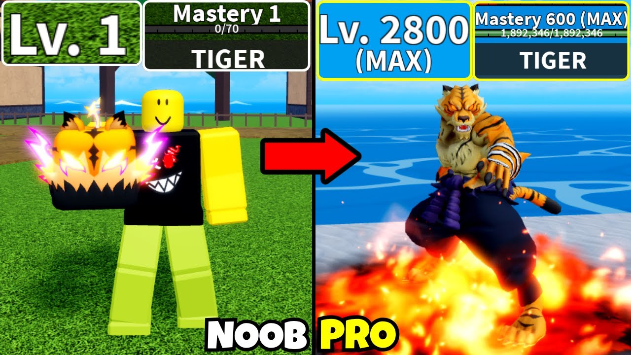 Beating Blox Fruits using Tiger! Level 0 to Max Level Noob to Pro in Blox Fruits!