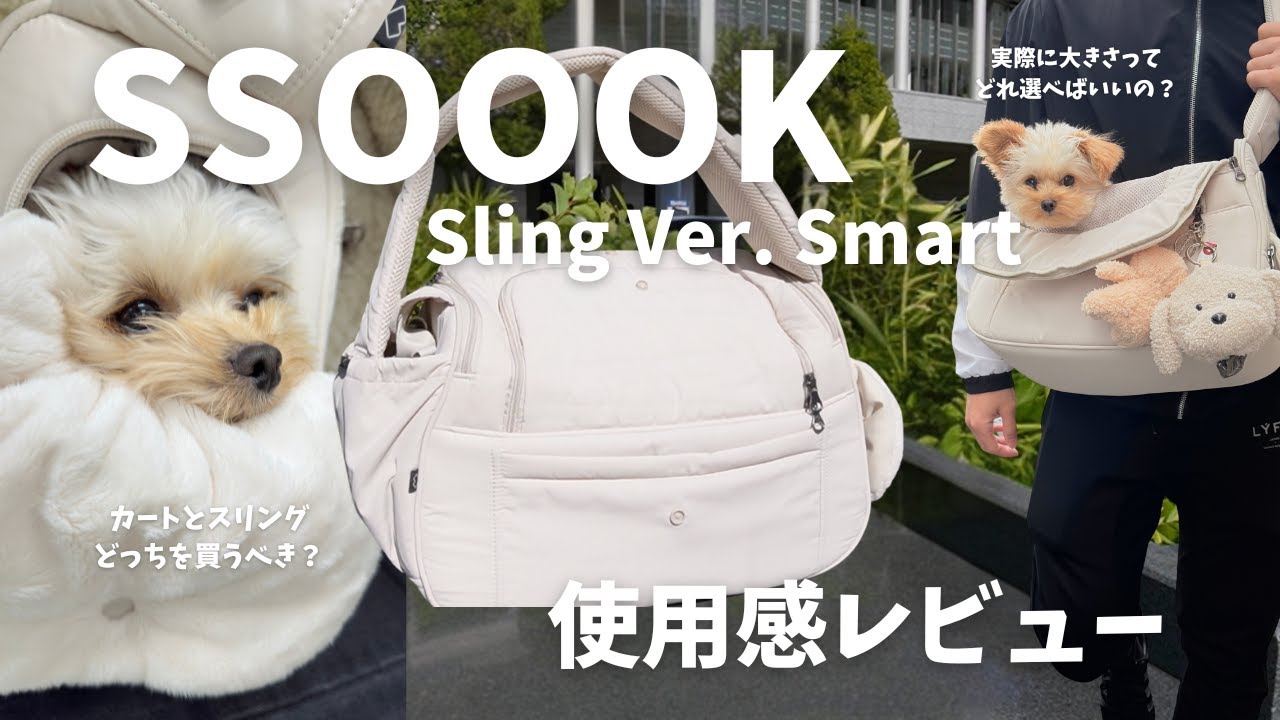 韓国ブランドSSOOOKスリング使用感レビュー｜SSOOOK｜ソオオク｜犬用スリング