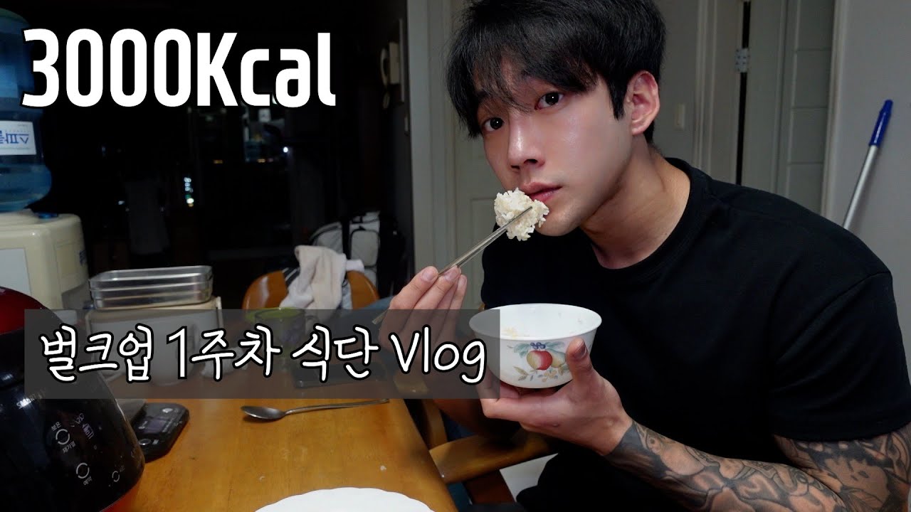 벌크업 1주차) 벌크업을 위해 밥 1.2kg 먹는 Vlog / full day eating