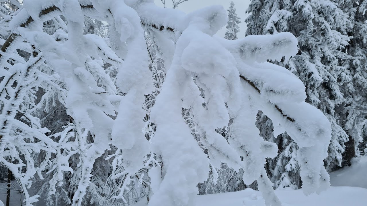Wanderung durch das Winter Wonderland im Thüringer Wald - schöne verschneite Landschaft am Fellberg!