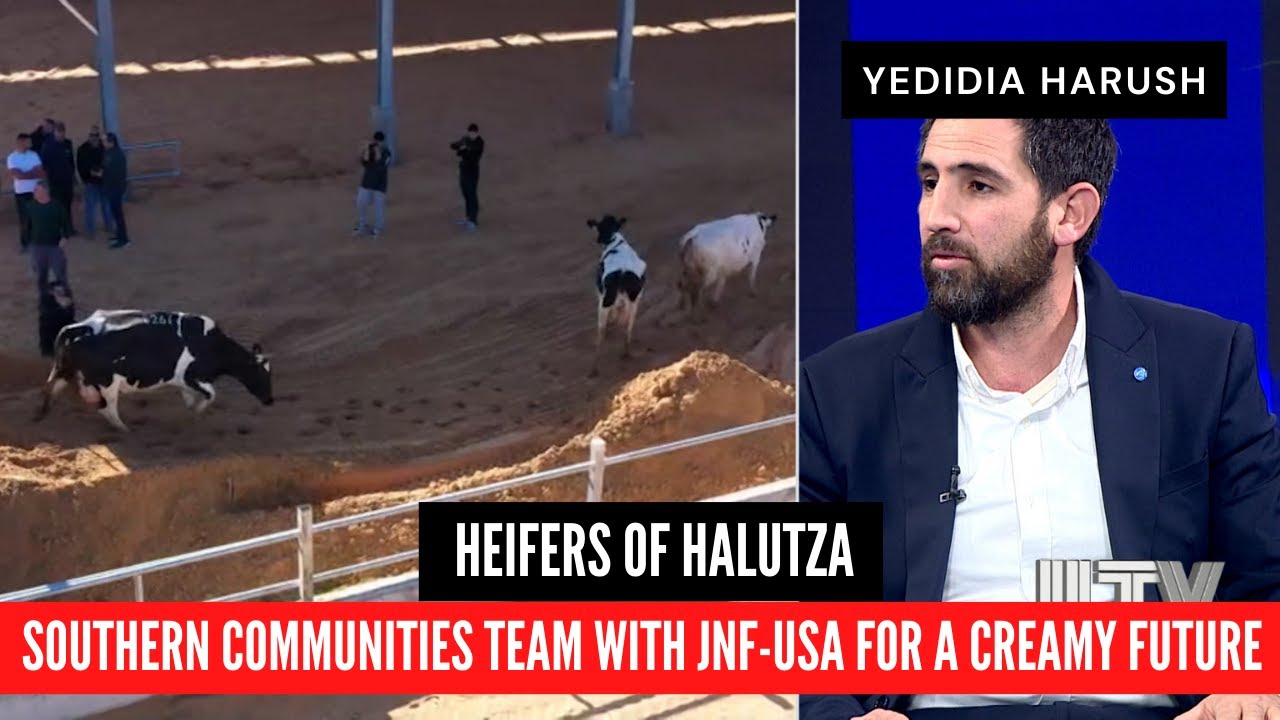 Southern communities’ team with JNF-USA for a creamy future- Yedidia Harush
