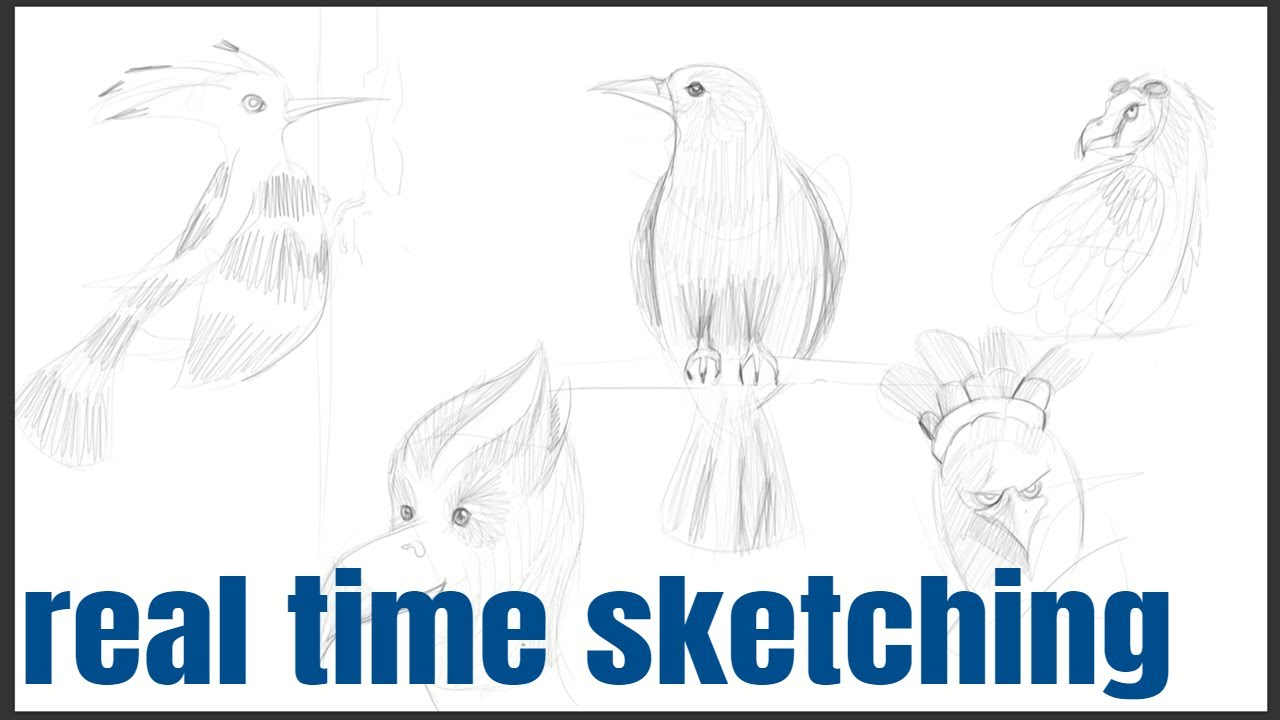 Real-time sketching\doodling | no voice | only music