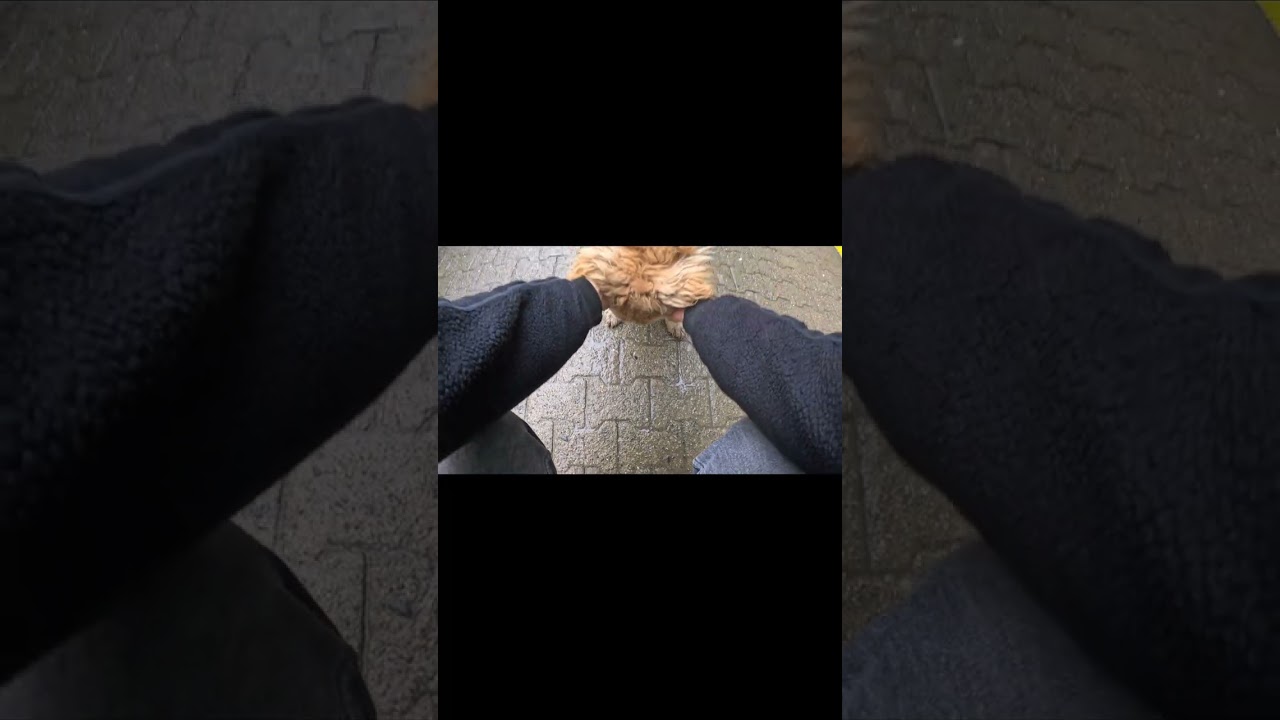 Tonya sevkiyatından kısa bir vlog denemesi.