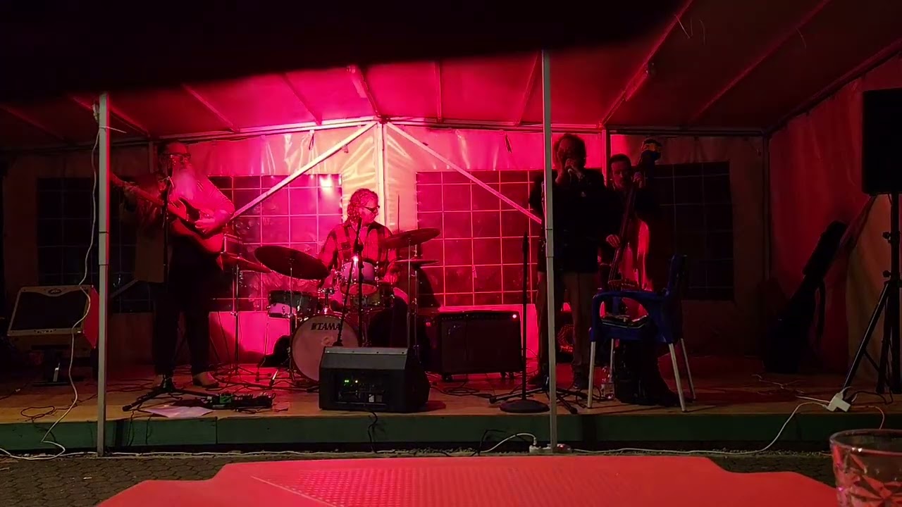 Henry Blues Quartet