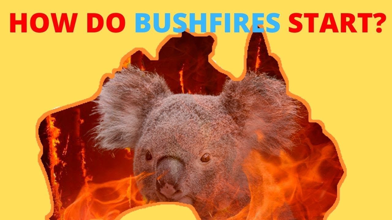 How Do Bush Fires Start?