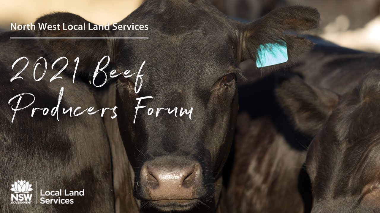 2021 North West Beef Producers Forum: Diversifying your beef business through regenerative farming