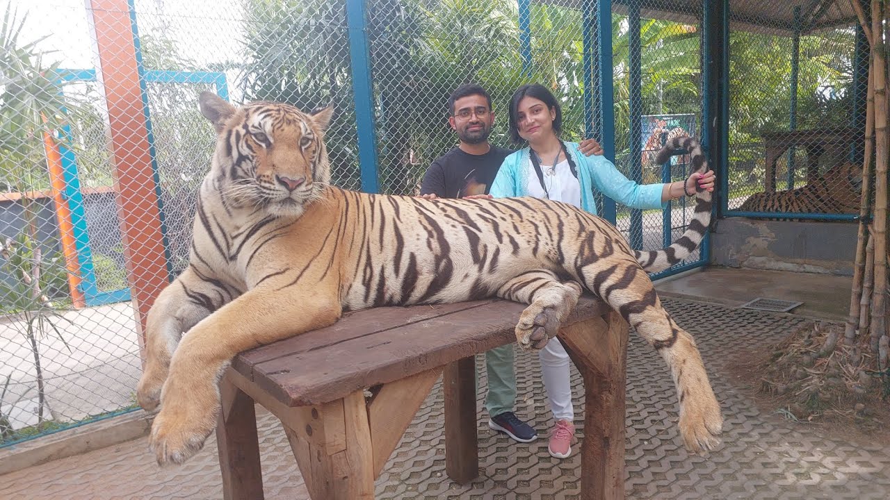 Trip to Thailand - Part 4, Pattaya Tiger Park