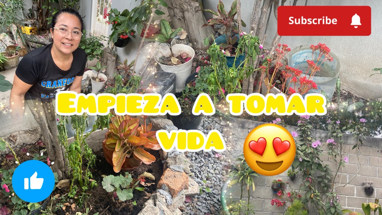 👉Empiezo a llenar mi nueva JARDINERA |tierra y plantitas🌱poco apoco toma vida #gardening 