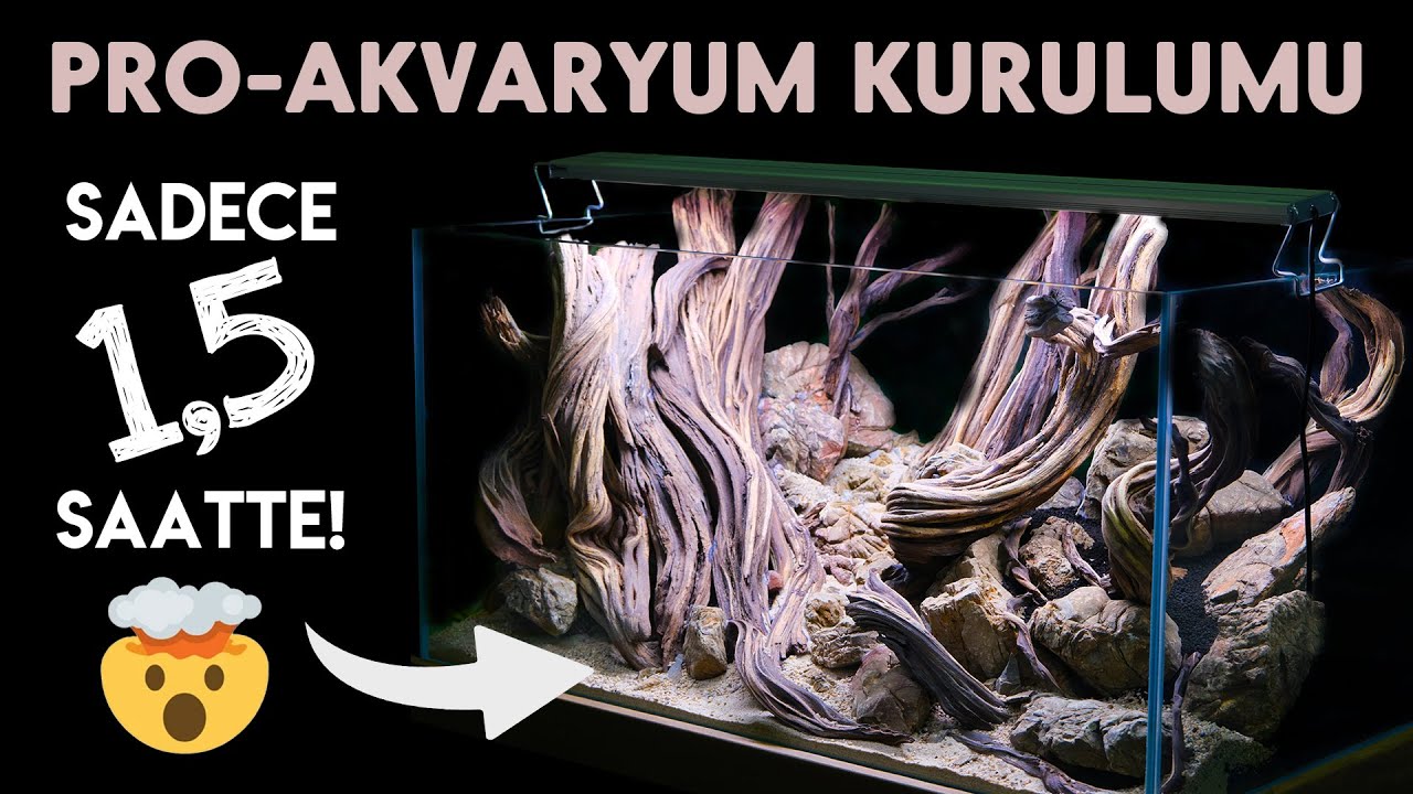 PROFESYONEL AKVARYUM KURULUMU - AQUASCAPE by SELÇUK DURMAZ | PETZOO 2023 FUAR 2. BÖLÜM