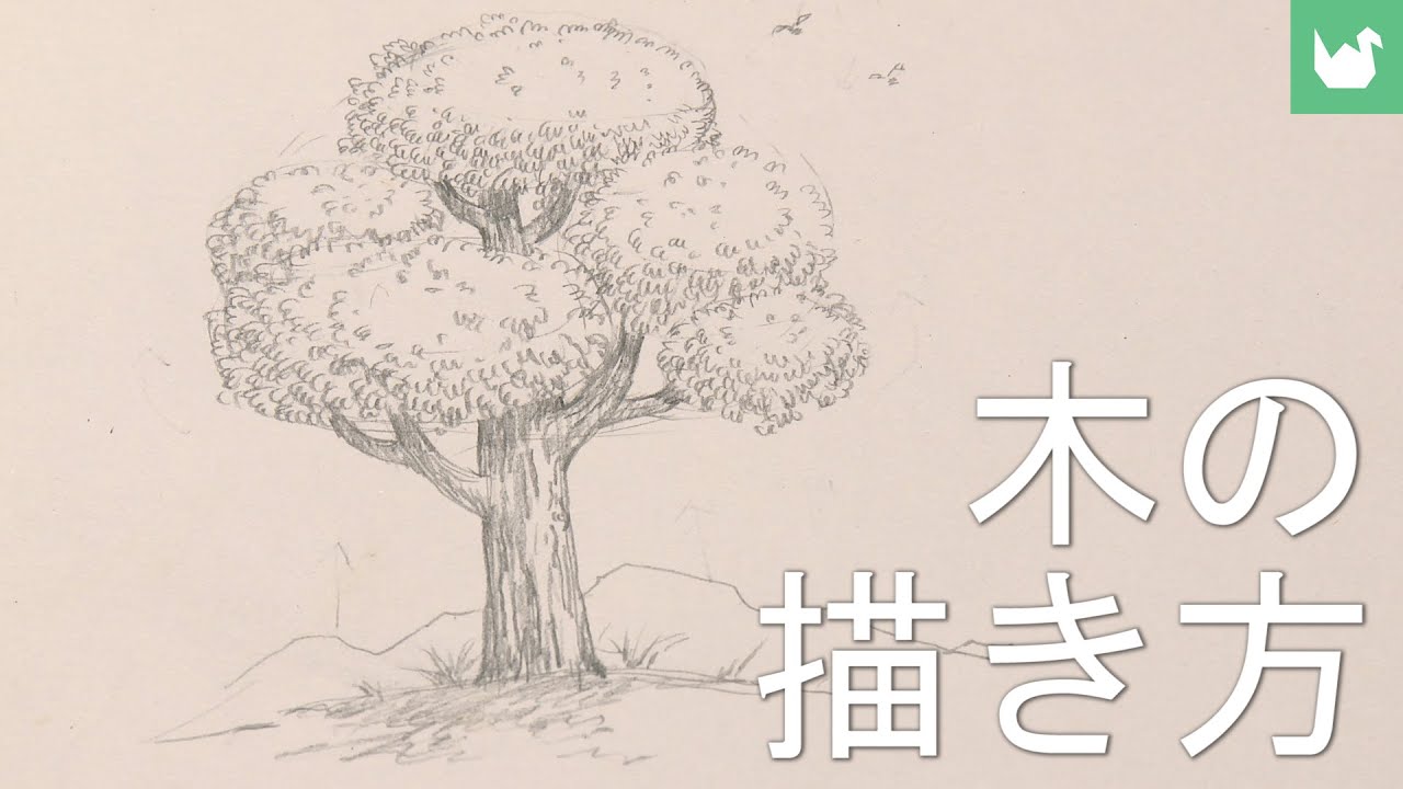 簡単に描くことを学ぶ：木