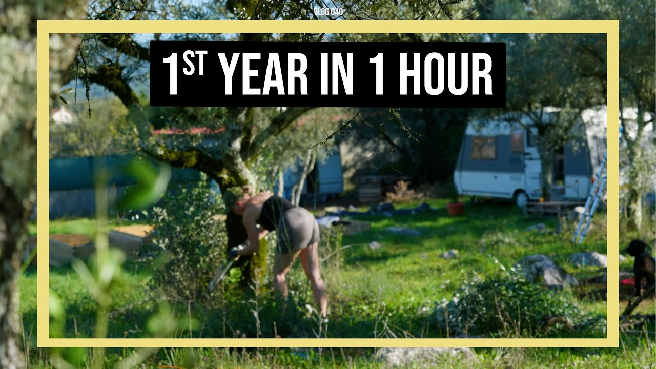 Создание фермы в Португалии с нуля — 1-й год (таймлапс)