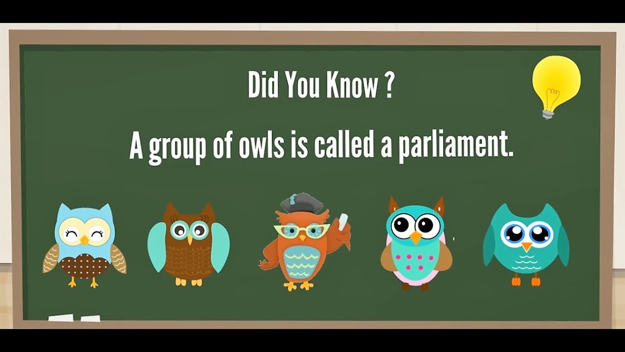 LilQuizWhiz-  Learning is Fun - 3 - Learning video for kids - Fun quiz for kids