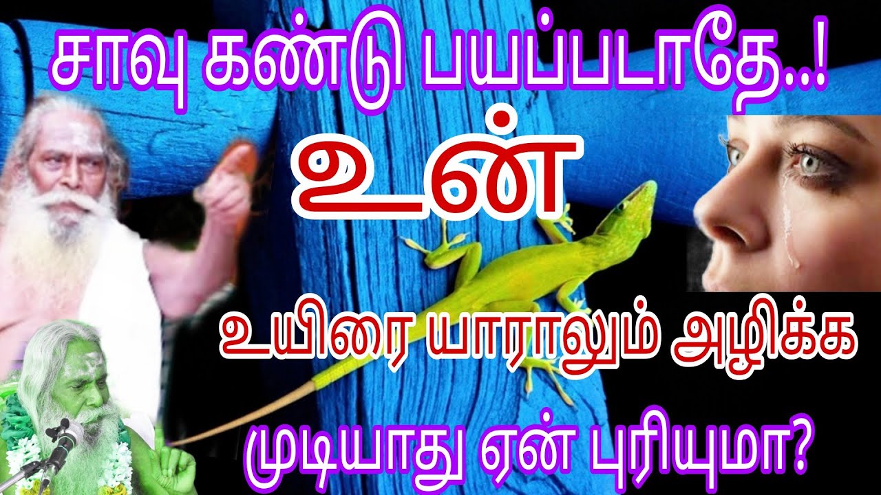 சாவு கண்டு பயப்படாதே! உன் உயிரை யாராலும் அழிக்க முடியாது ஏன் புரியுமா?appar tv