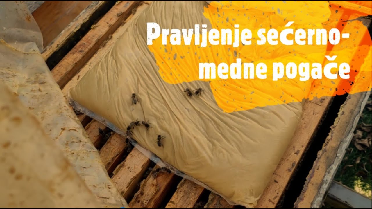 Proces pravljenja secerno medne pogace za prihranu pcela - Making sugar honey cake to save bees