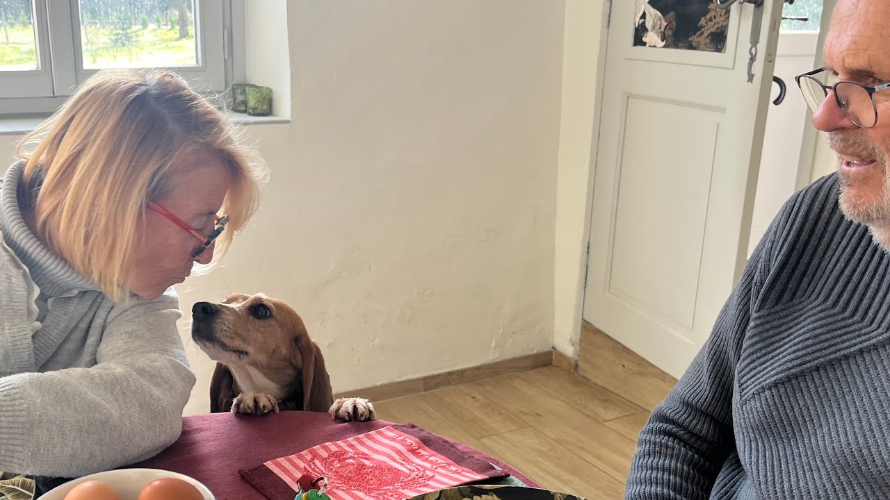 Gaïa : le jour de son adoption 