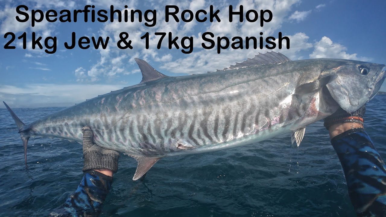 Spearfishing Rock Hop 21kg Jew & 17kg Spanish