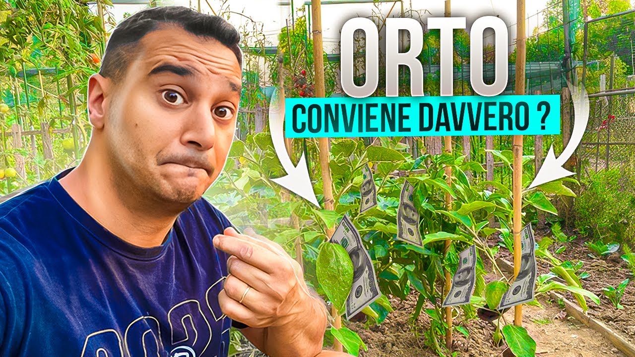 Quanti SOLDI  ho RISPARMIATO con l'orto ?