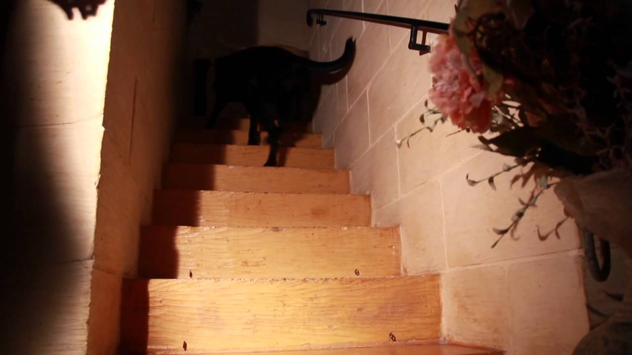 Stejjer Qosra - Is-Sitta