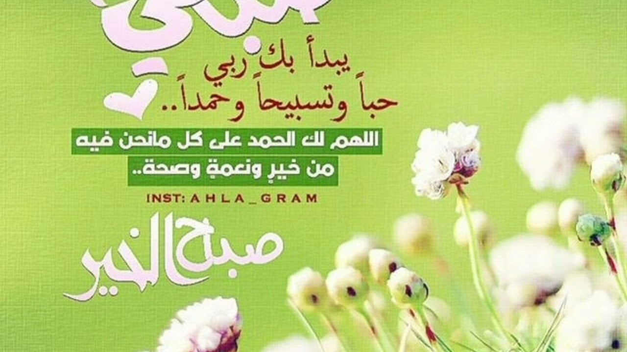 لأول مرة تفهم معني ( لايحطمنكم ) دقة القرءان تتحدي العلم 