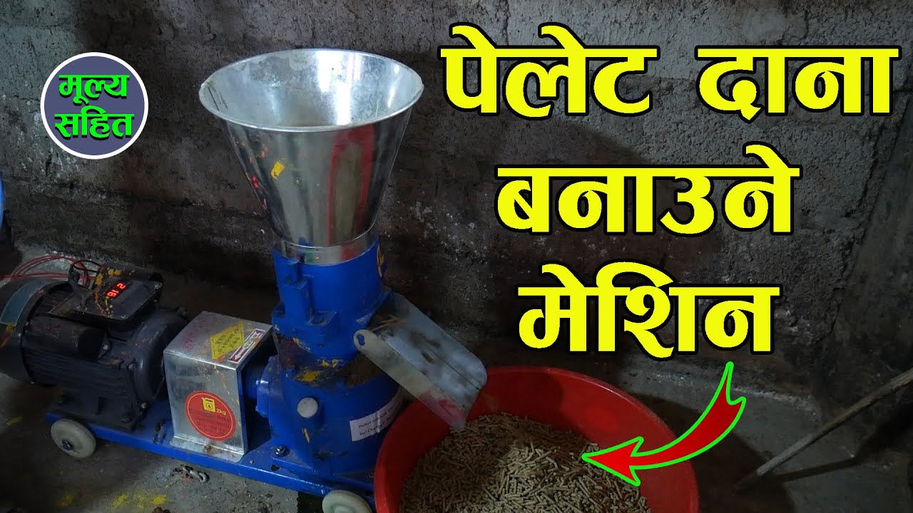 पेलेट दाना बनाउने मेशिन बारे संपुर्ण जानकारी II Pellet Machine In Nepal II Changing Nepal II Jankari