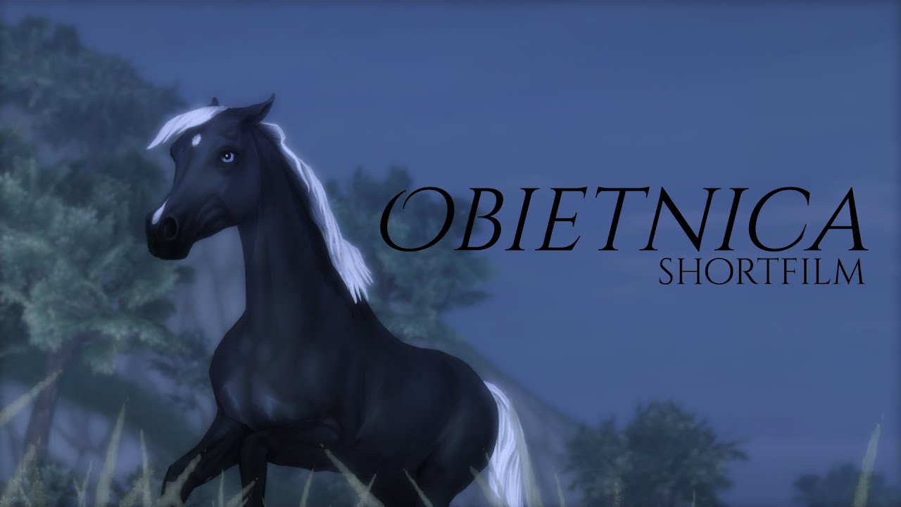 Obietnica || SSO SHORTFILM ||