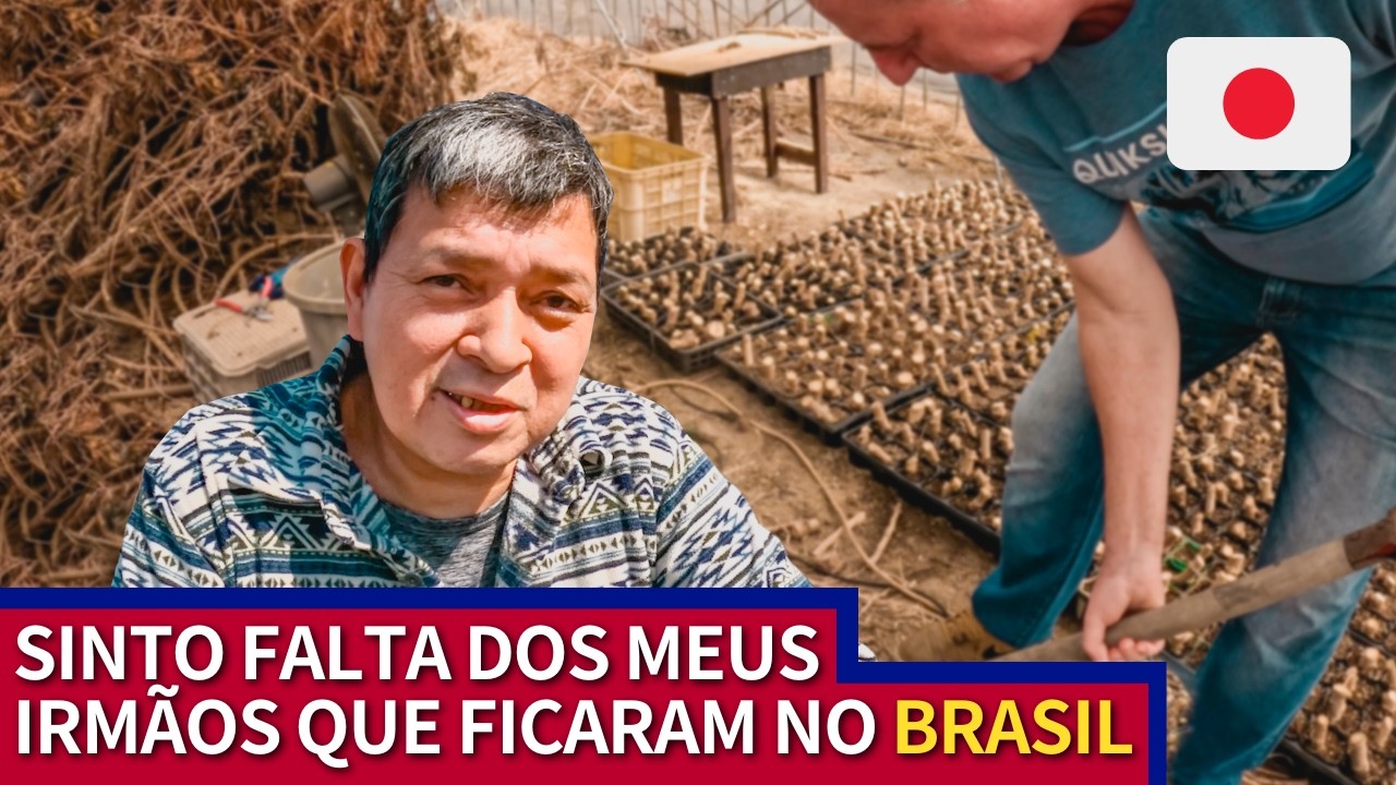 Brasileiro se destaca com produção de Mudas de Mandioca no Japão