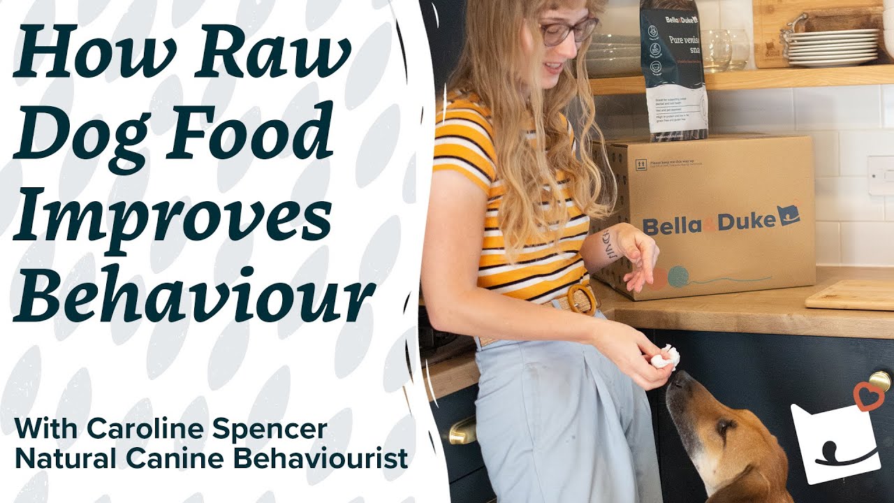 How Raw Dog Food Improves Behaviour - Caroline Spencer (Bella & Duke)
