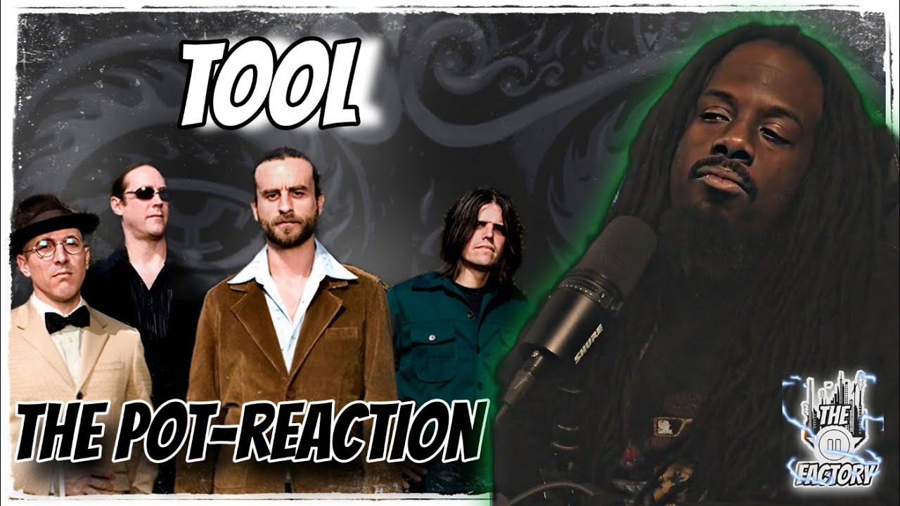 ANOTHER FIRST TIME LISTEN...I THINK!!! | TOOL- THE POT REACTION | THE PAUSE FACTORY