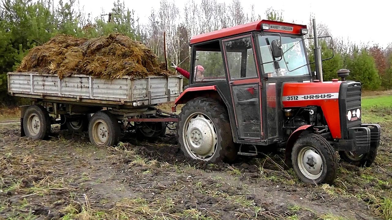 Dzień pracy in Glina Mała