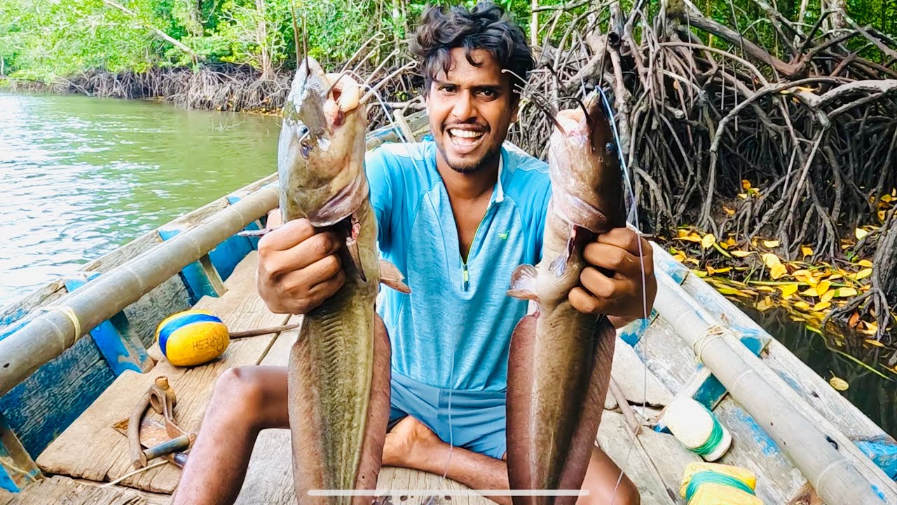 আন্দামানের বিখ্যাত কাইন মাগুর ধরলাম😁 @ANDAMAN_HUNTERS