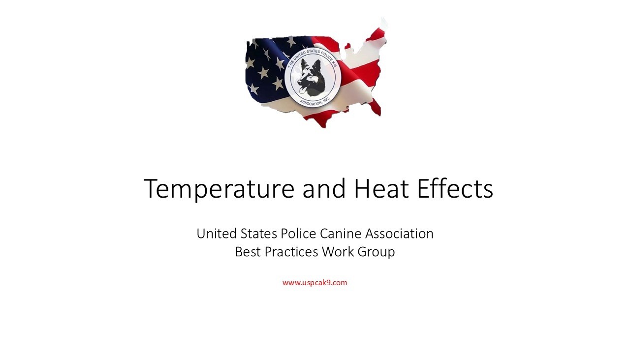 Temperature and Heat Effects