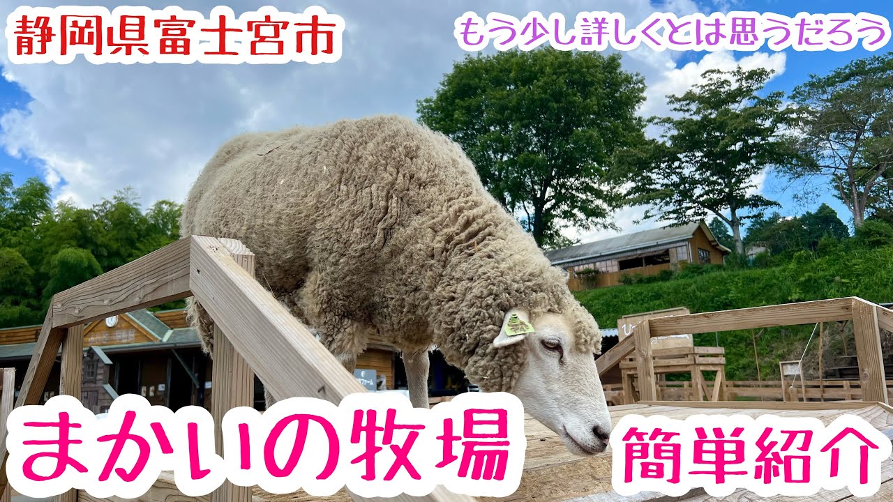 【静岡県富士宮市】まかいの牧場紹介／大人もこどもも楽しめる！絶景で撮影も／動物とふれあえる！