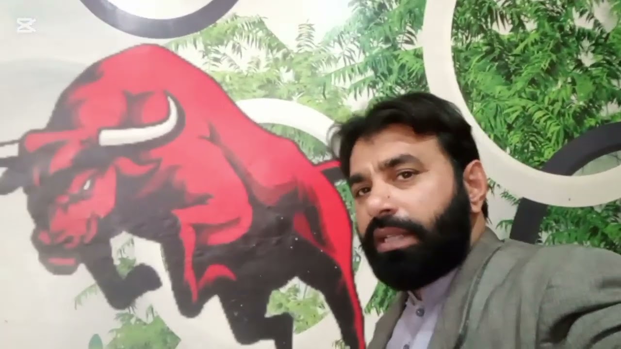 Ray Bull Hotel Gojra