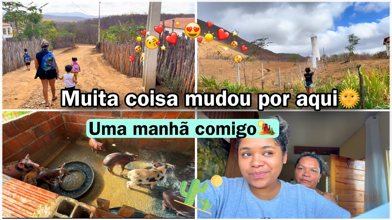 VOLTANDO PARA O CANAL + acompanhe minha manhã ☀️🫶🏽