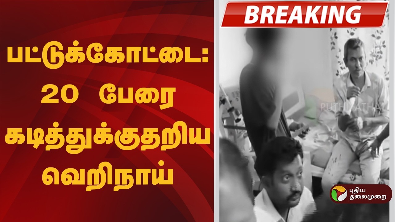 #BREAKING | பட்டுக்கோட்டை: 20 பேரை கடித்துக்குதறிய வெறிநாய் | Pattukkottai