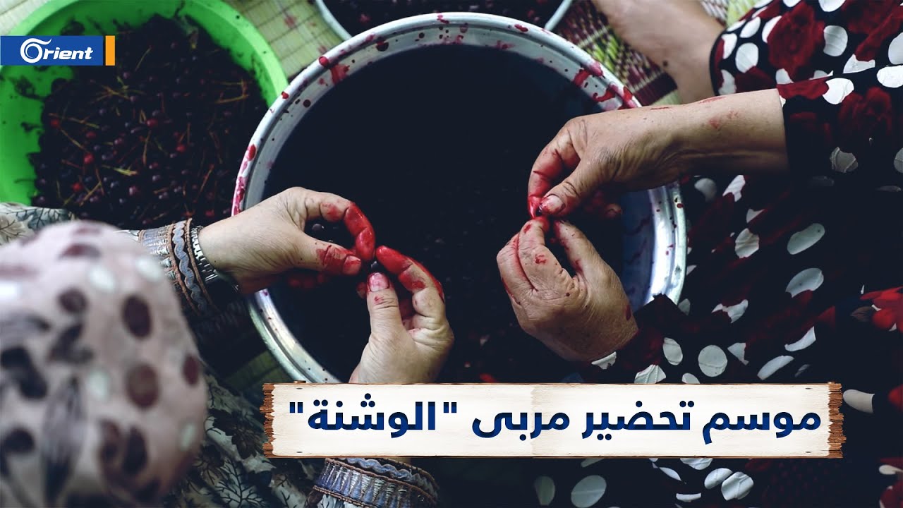 موسم مربّى 
