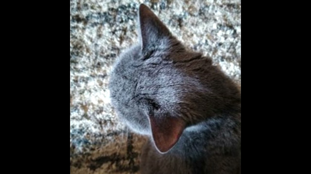 my best baby died.