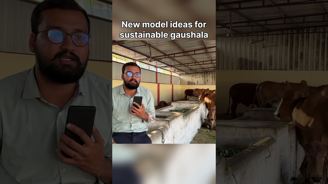 New model for sustainable gaushala #gaushala #panchgavya #gir