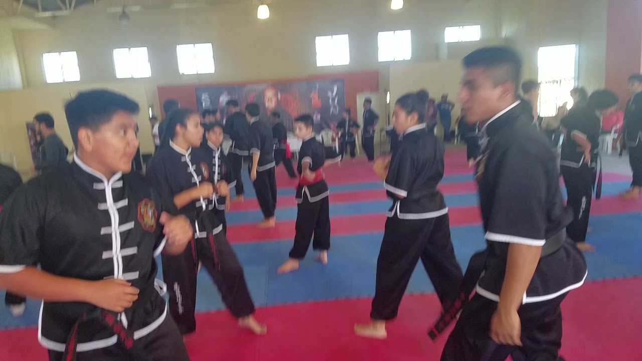 James Ibrao Seminar Jun Bao 2018 Double Pat with kicks techniques