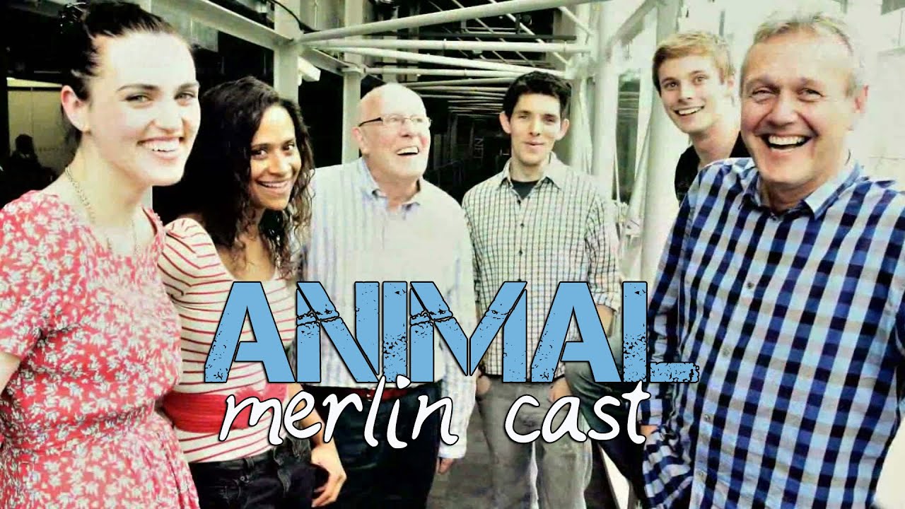 Animal :: Merlin Cast