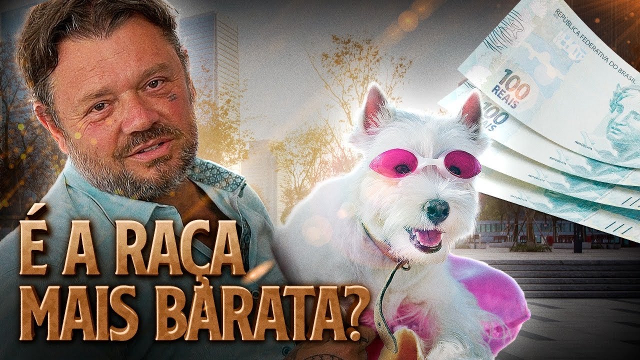WHITE TERRIER, UM CACHORRO BARATO PARA PAGAR DE RICO! | RICHARD RASMUSSEN
