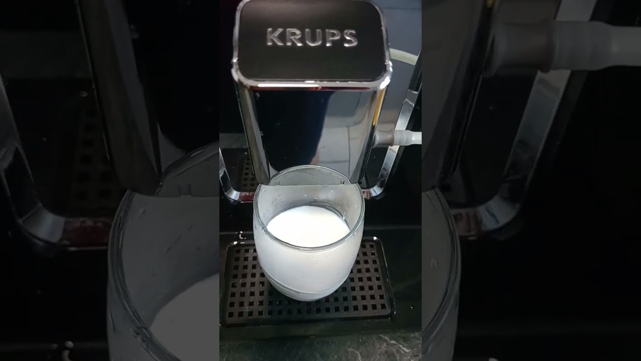 Krups EA89 Test Ebay
